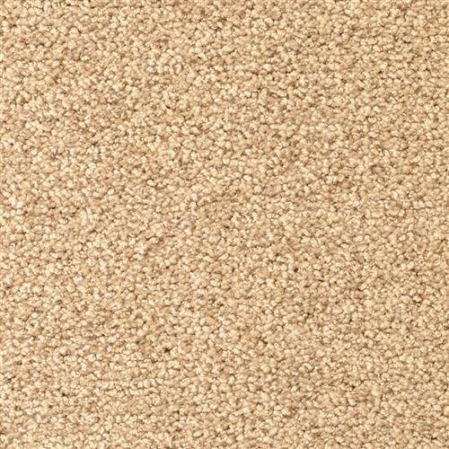 Masland Carpets Corniche  Cliffside Carpet Bountiful UT 