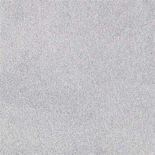 Miami Lavender Shade 104