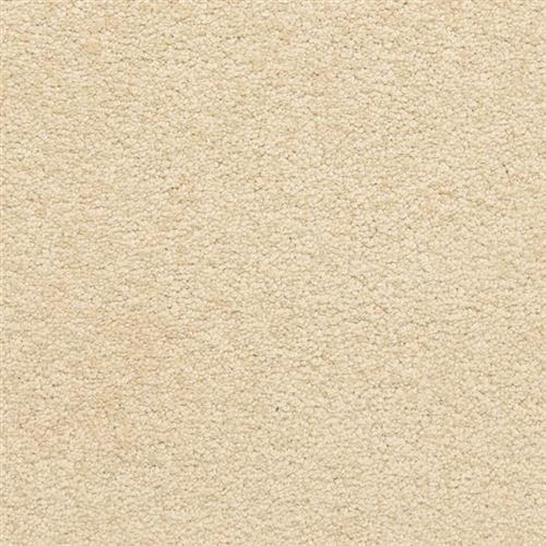 Knoxville by Masland Carpets - Practical