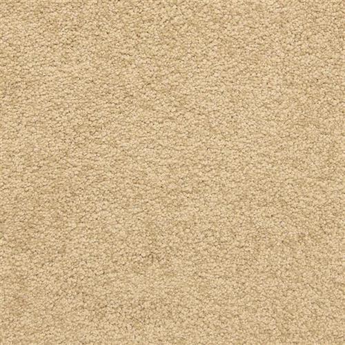Knoxville by Masland Carpets - Rush