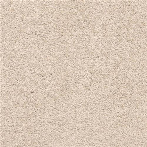 Knoxville by Masland Carpets - Canvas