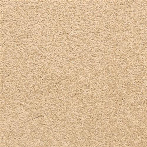 Knoxville by Masland Carpets - Ripe