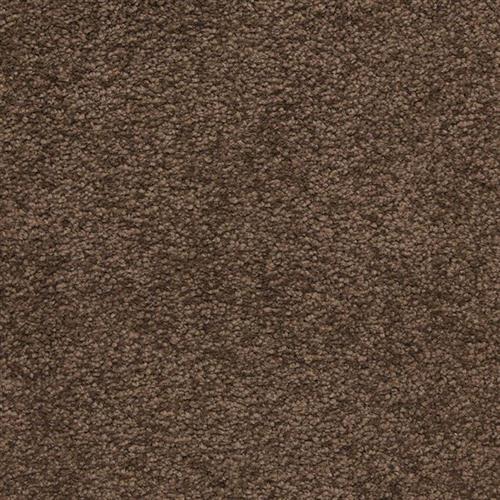 Knockout by Masland Carpets - Coffee Bean