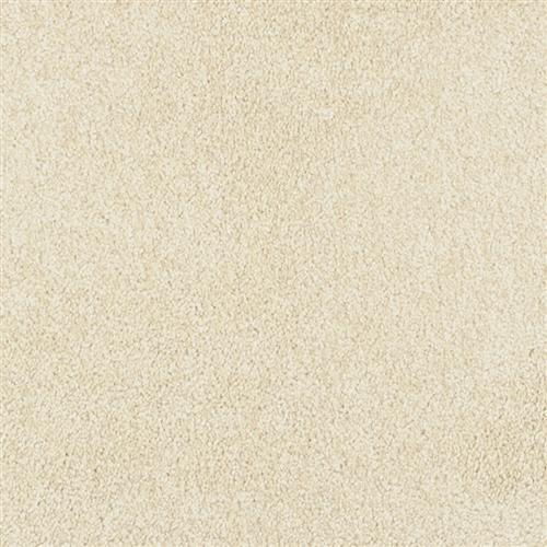 Soft Chamois