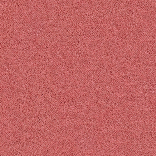 Pink Carpets - Carpet Vidalondon