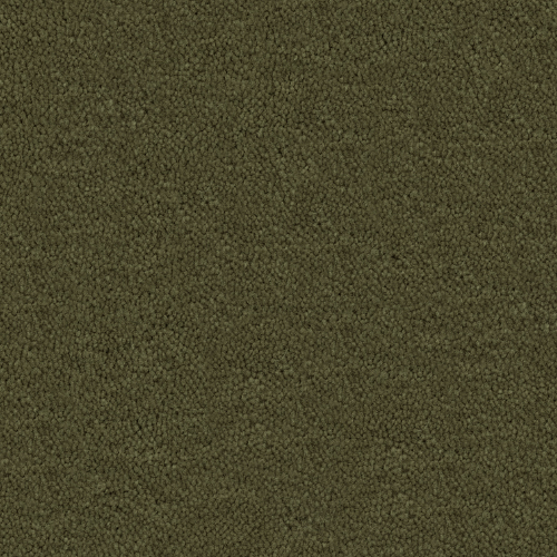 Cache in Olive - Carpet by Masland Carpets