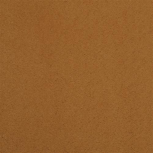 Warm Beige
