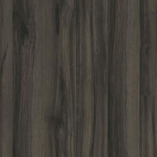 Luxury Vinyl Flooring in Black Hills - Vinyl by Masland Carpets
