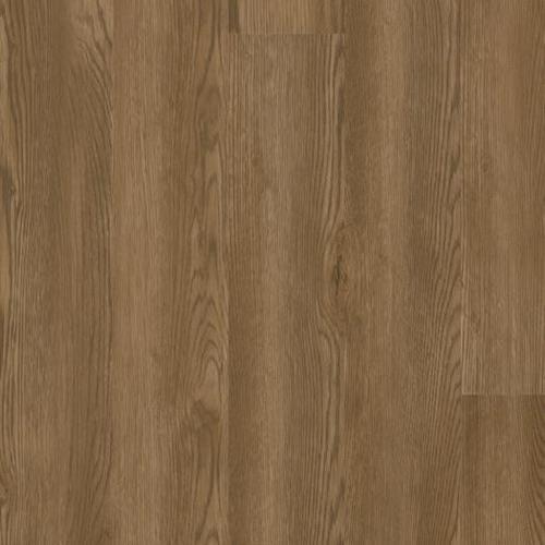 Sierra Oak