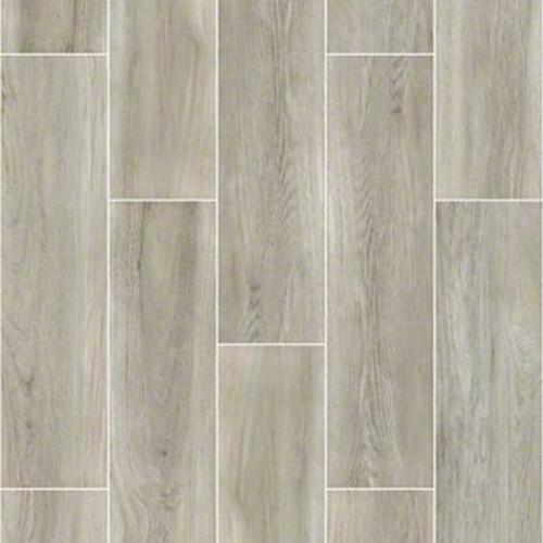 Shaw Industries Valentino Action Ceramic Porcelain Tile 