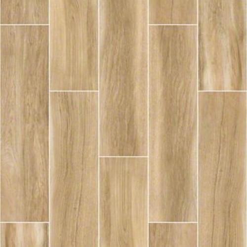 Shaw Industries Valentino Action Ceramic Porcelain Tile 