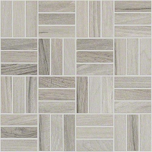 Shaw Industries VOYAGE MOSAIC Taupe Tile Marshfield, WI Rice’s