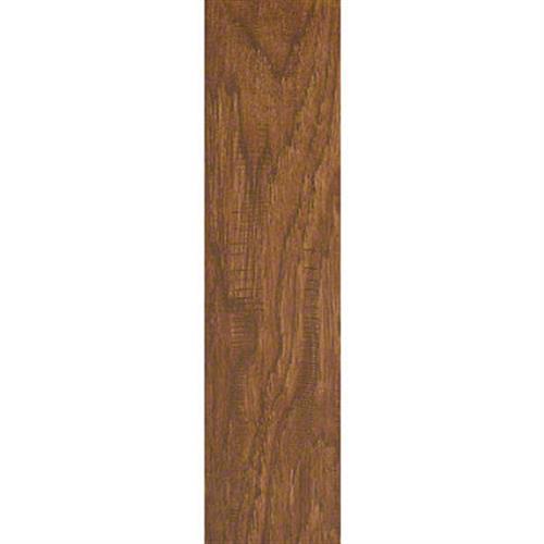 Designer Hickory by Shaw Industries - Ancient