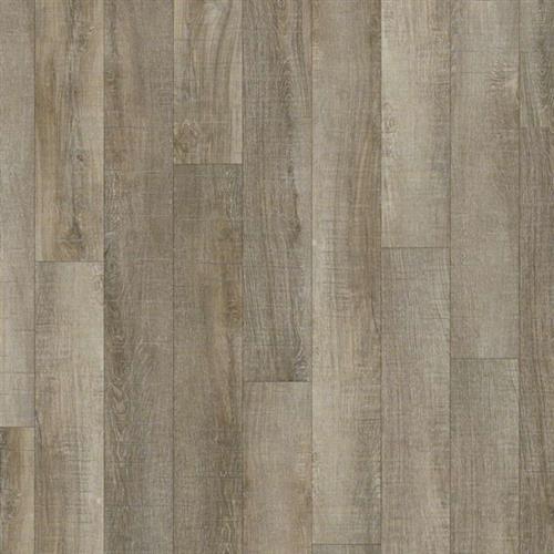 Classico Plank by Wholesale Hard Surfaces - Molo