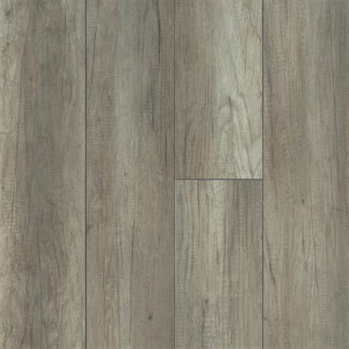 Variations by Shaw Industries - Taupe Fusion