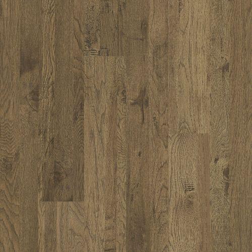 Alamo Hickory