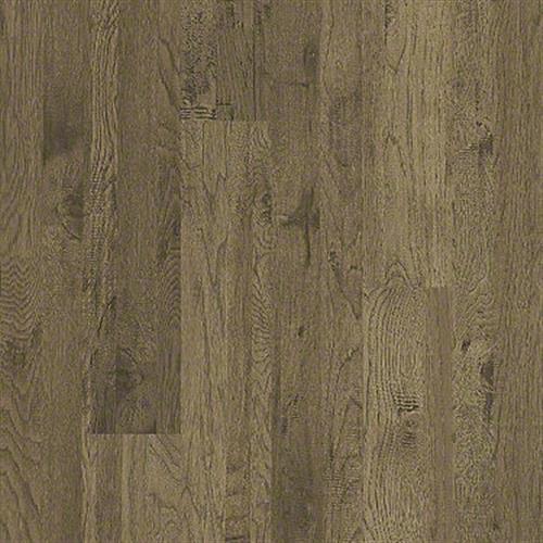 Alamo Hickory