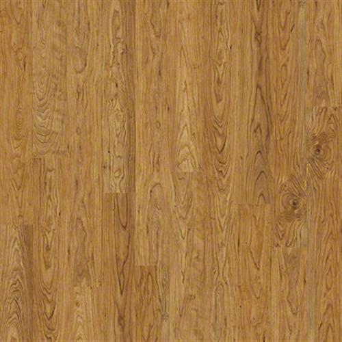 Shaker Cherry