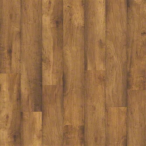 Kingsbridge Plus Eastlake Hickory 00258