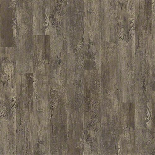 Premio Plank Cortona 00575