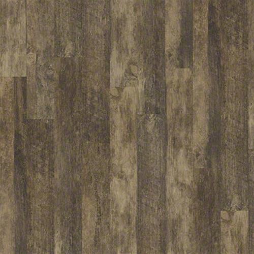 Premio Plank Novella 00745
