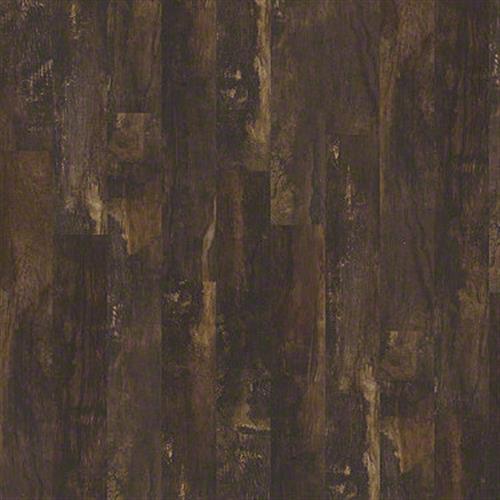 Premio Plank Monte 00754