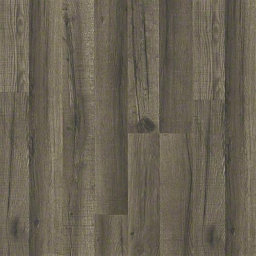 Cloudland Oak