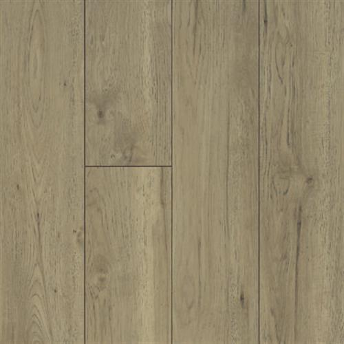 Shaw Industries ODYSSEY Golden Sands Laminate - San Antonio, Texas - CRT Flooring