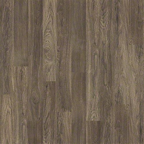 Shaw Industries Toulouse Sage Laminate - San Antonio, Texas - CRT Flooring