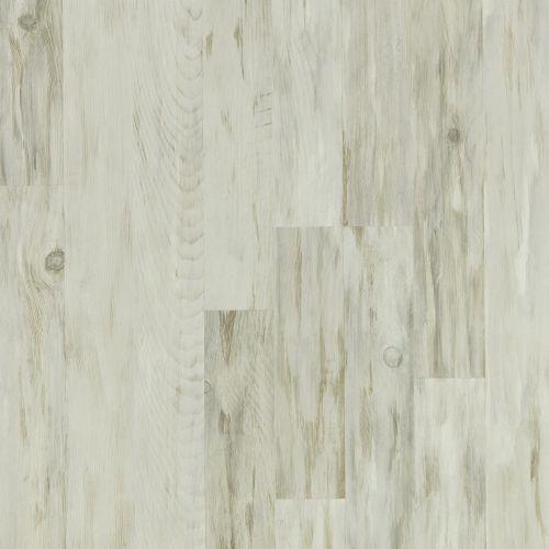 Snowhill Pine