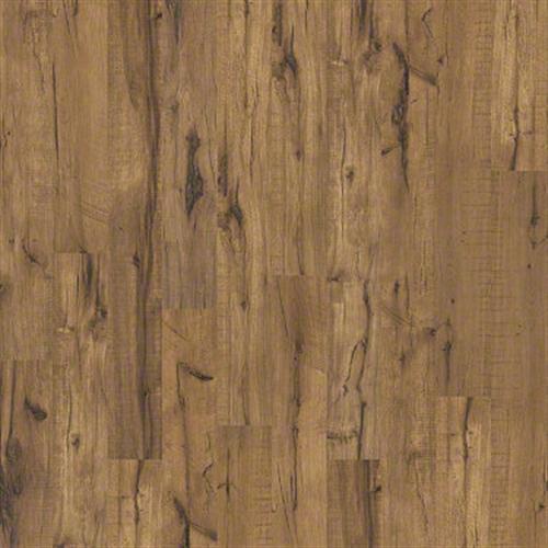 Shaw Industries Timberline Trailing, Laminate Flooring Corbin Ky