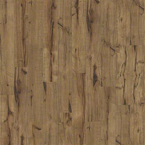 Timberline by Shaw Industries - Lumberjack Hckry