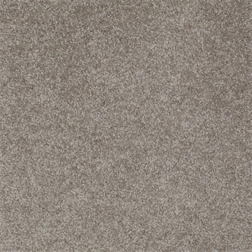 Galaxie IV (S) by Shaw Floors Net - Ashen