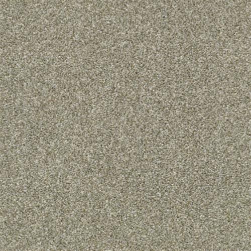 PRESIDIO TONAL Shadow Carpet 00541_PZ026 by Shaw Flooring