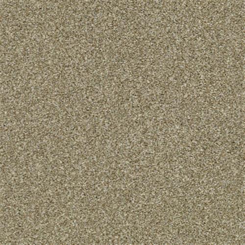 presidio-tonal-shadow-carpet-00541-pz026-by-shaw-flooring