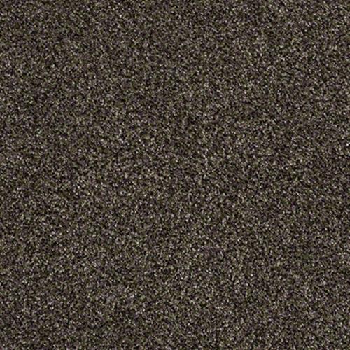 Baltic Brown