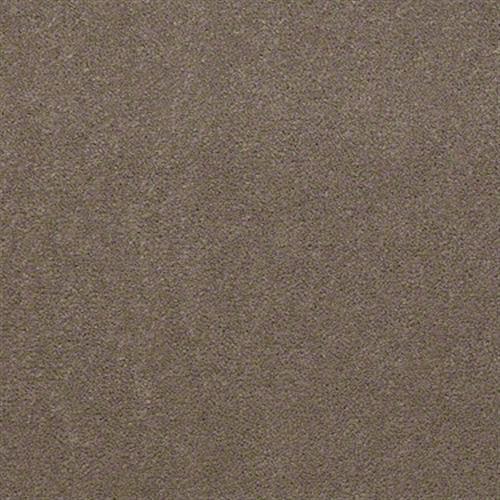 Copper Hill 30 in Toasted Taupe - Carpet by Shaw Flooring