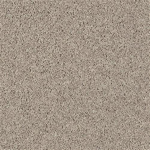 Shaw Carpet Color Chart Review Home Co