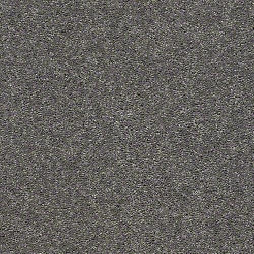 Hitching Post (s) in Gray Wash - Carpet by Shaw Flooring