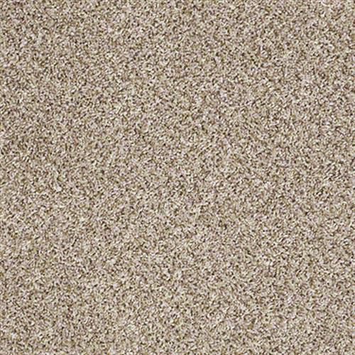 Wilderness (f) in Apple Cider(f) - Carpet by Shaw Flooring