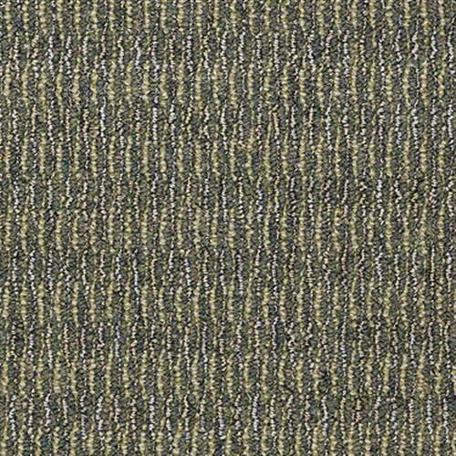Triple Net in Gaelic - Carpet by Shaw Flooring