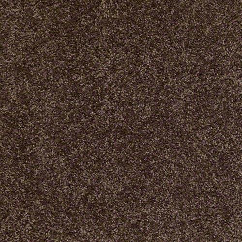 Hutton Lake Supreme 12 in Chocolate Bar - Carpet by Shaw Flooring