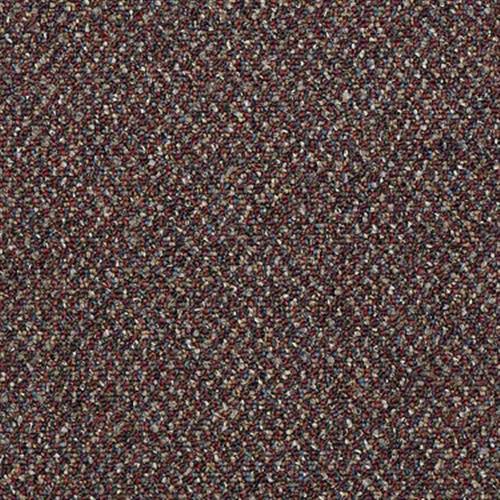 Elaborate in Desert Enduranc - Carpet by Shaw Flooring