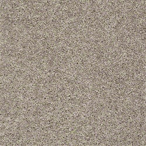 Sharpy in Taupe Stone - Carpet by Shaw Flooring