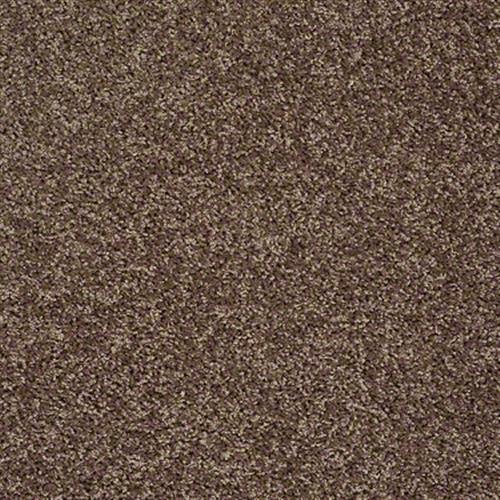 Sharpy in Chestnut - Carpet by Shaw Flooring