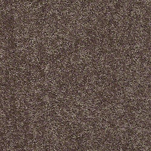 Sv325(s) in Brindle(s) - Carpet by Shaw Flooring