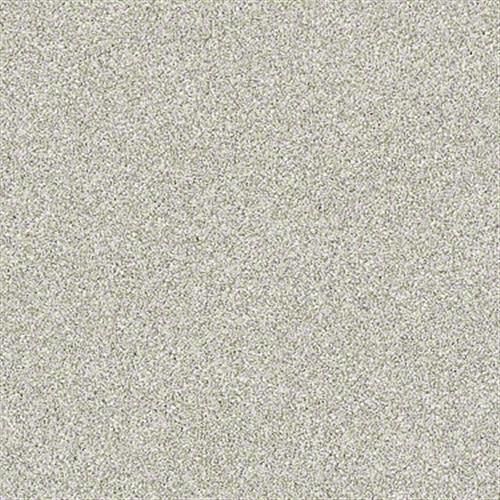 Ventura in Exotic Sand - Carpet by Shaw Flooring