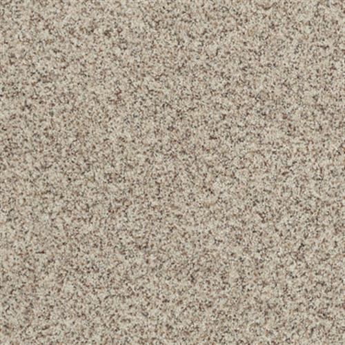 Dreamstyle III in Chic Beige - Carpet by Shaw Flooring