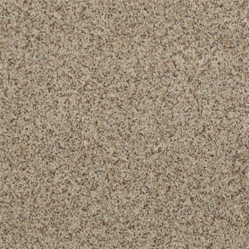 Dreamstyle III in Soft Glow - Carpet by Shaw Flooring