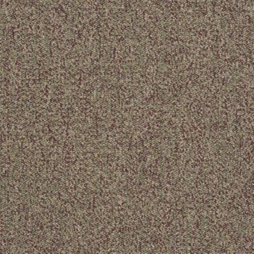 Outcome 26 in Golden Garden - Carpet by Shaw Flooring